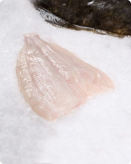 Halibut Fillet Frozen ($30/LB)