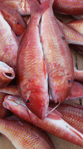 Red Mullet Frozen ($11/kg)