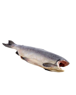 Whole Pink Salmon Head off Frozen (6$/Lb)