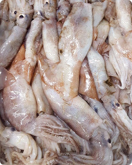 Whole Squid Frozen ($7.5/LB)