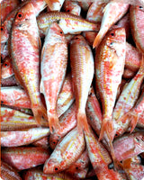 Red Mullet Medium Fresh ($35/KG)