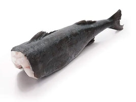 Whole Sablefish  Frozen ($17/Lb)